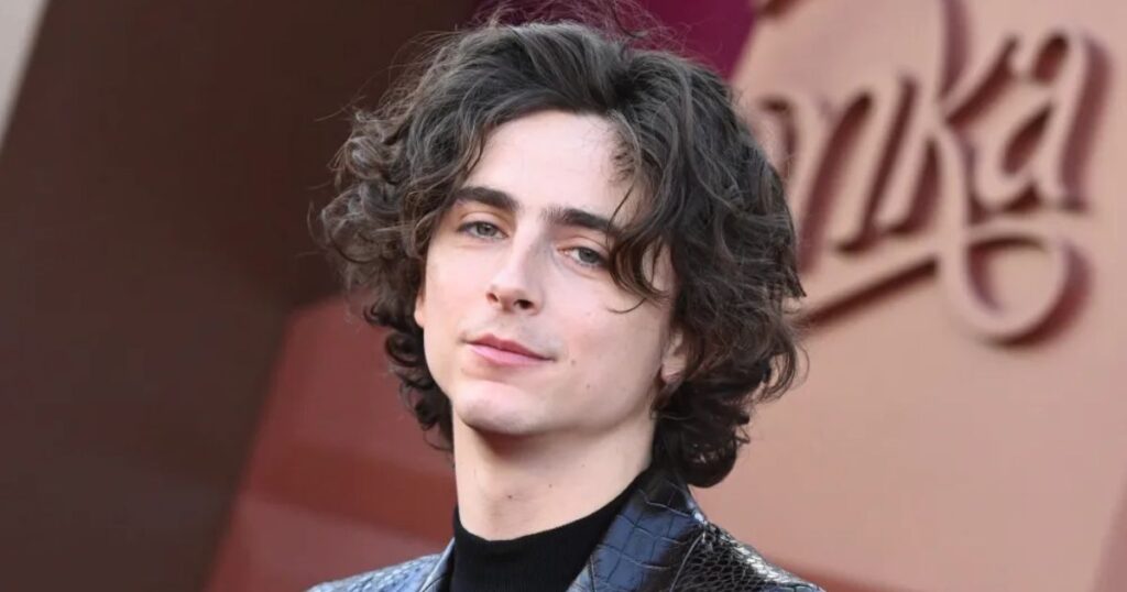 Timothee Chalamet Height And Weight Exploring the Real Stats (1)