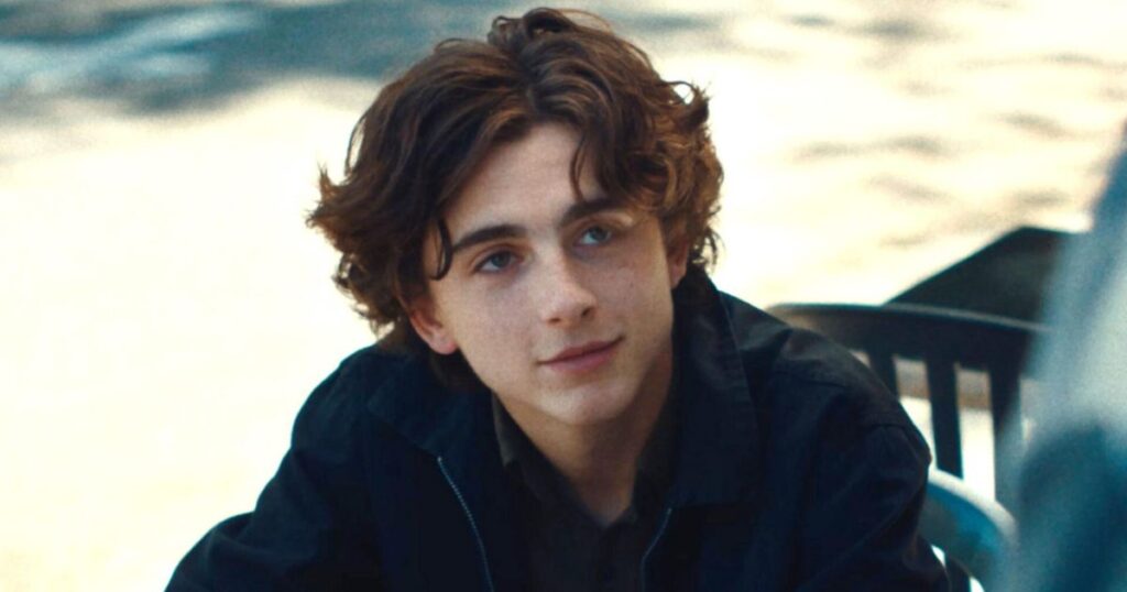 Timothee Chalamet Height And Weight Exploring the Real Stats