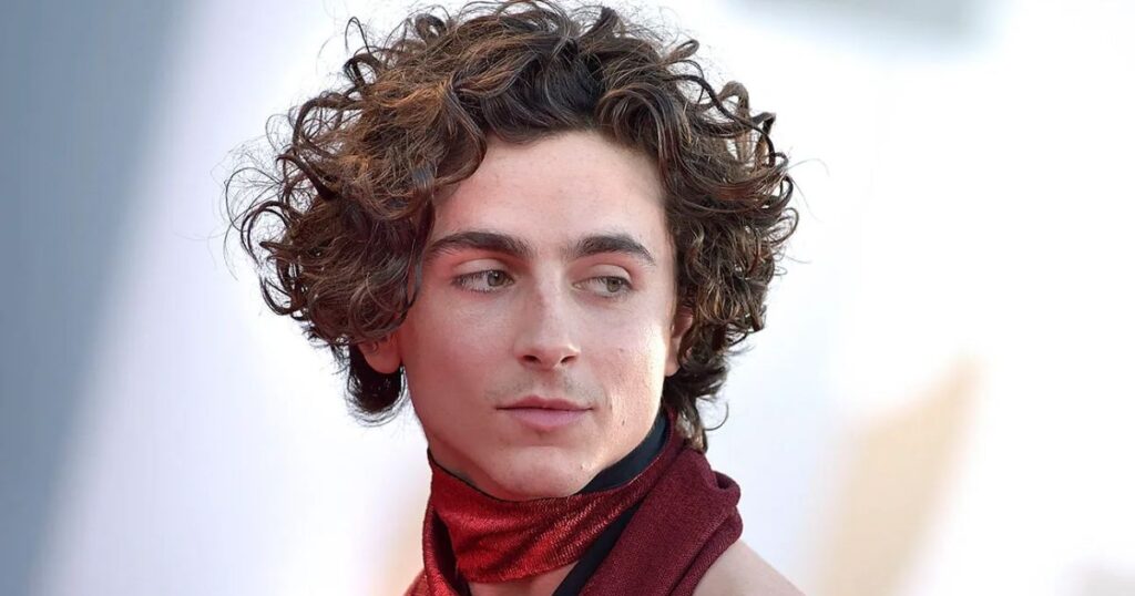 Timothee Chalamet Height And Weight Exploring the Real Stats (3)