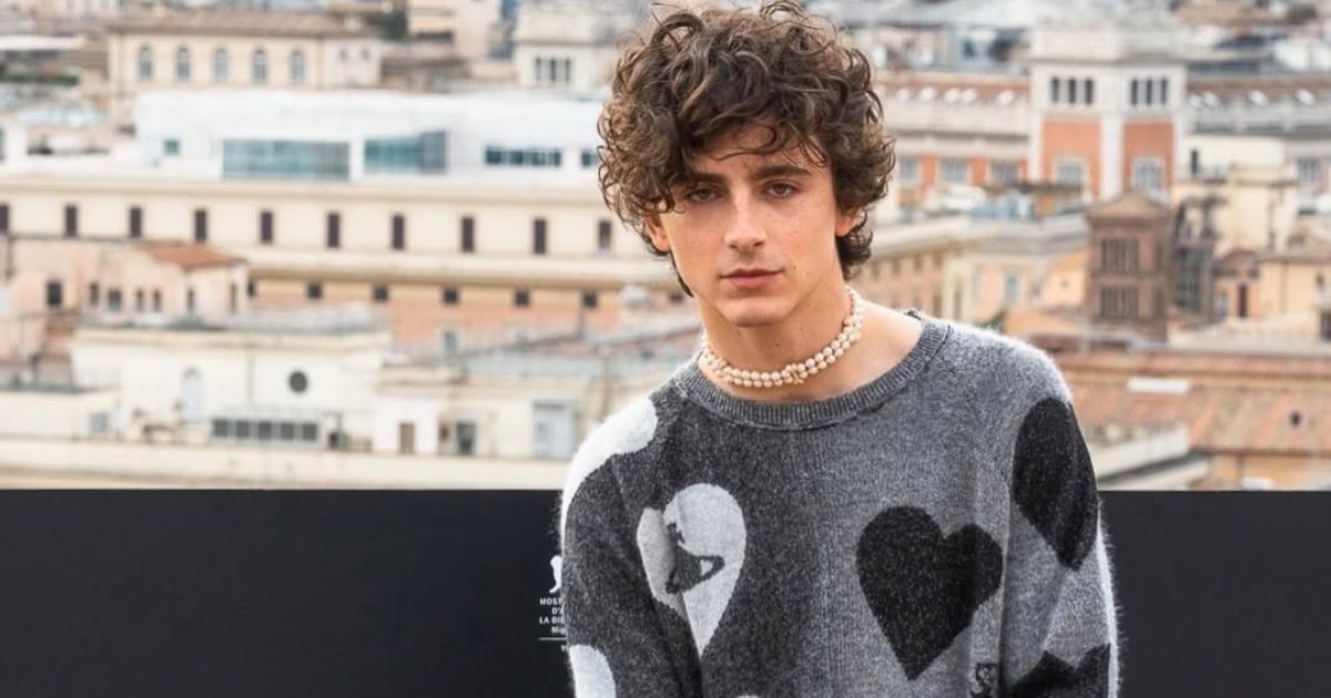 Timothee Chalamet Height And Weight Exploring the Real Stats (4)